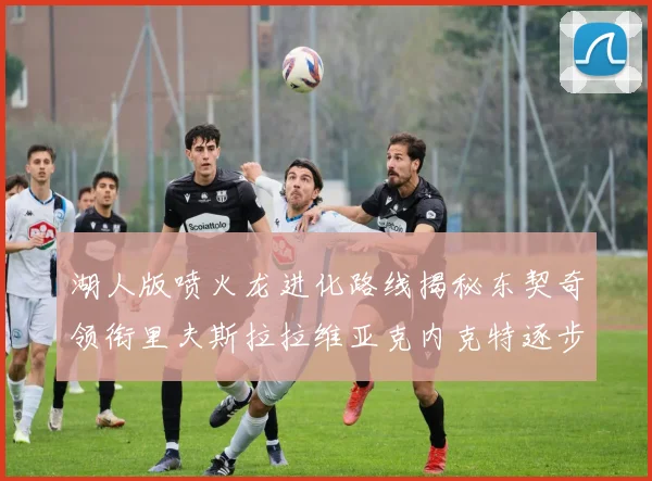 湖人版喷火龙进化路线揭秘东契奇领衔里夫斯拉拉维亚克内克特逐步崛起