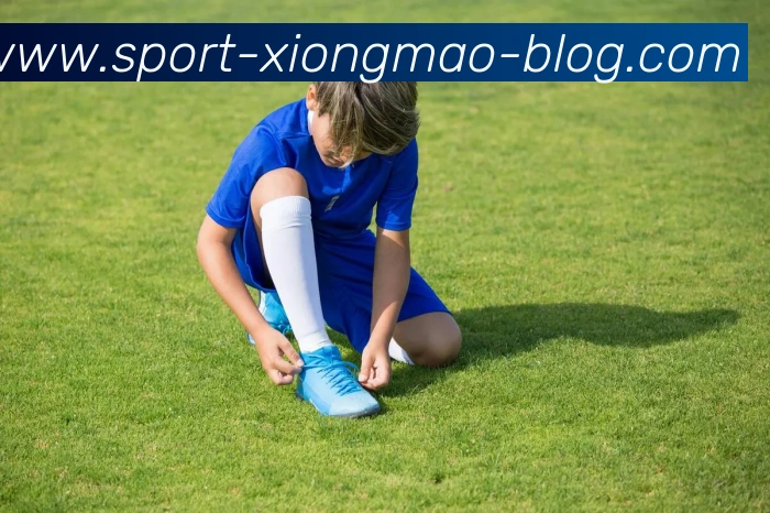 熊猫体育发展历程